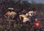 Image of US Naval Station Guantanamo Bay Cuba Guantanamo Bay Cuba, 1952, second 40 stock footage video 65675079668