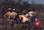 Image of US Naval Station Guantanamo Bay Cuba Guantanamo Bay Cuba, 1952, second 41 stock footage video 65675079668