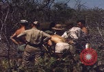 Image of US Naval Station Guantanamo Bay Cuba Guantanamo Bay Cuba, 1952, second 42 stock footage video 65675079668