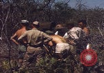 Image of US Naval Station Guantanamo Bay Cuba Guantanamo Bay Cuba, 1952, second 43 stock footage video 65675079668