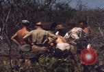 Image of US Naval Station Guantanamo Bay Cuba Guantanamo Bay Cuba, 1952, second 44 stock footage video 65675079668