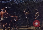 Image of US Naval Station Guantanamo Bay Cuba Guantanamo Bay Cuba, 1952, second 45 stock footage video 65675079668