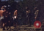 Image of US Naval Station Guantanamo Bay Cuba Guantanamo Bay Cuba, 1952, second 53 stock footage video 65675079668