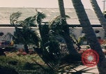 Image of US Naval Station Guantanamo Bay Guantanamo Bay Cuba, 1952, second 24 stock footage video 65675079671