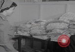 Image of Red Cross helps Hungarian refugees Camp Kilmer New Jersey United States, 1956, second 22 stock footage video 65675079690