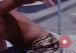 Image of men splashing swimming pool Las Vegas Nevada USA, 1967, second 29 stock footage video 65675079700