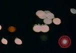 Image of man falling asleep driving San Bernardino California USA, 1967, second 33 stock footage video 65675079704