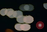 Image of man falling asleep driving San Bernardino California USA, 1967, second 35 stock footage video 65675079704