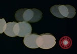 Image of man falling asleep driving San Bernardino California USA, 1967, second 36 stock footage video 65675079704