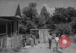 Image of African American neighborhood Atlanta Atlanta Georgia USA, 1960, second 31 stock footage video 65675079714