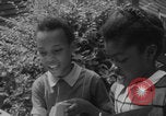 Image of African American neighborhood Atlanta Atlanta Georgia USA, 1960, second 35 stock footage video 65675079714