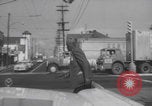 Image of Forsyth Marietta streets Atlanta Atlanta Georgia USA, 1960, second 25 stock footage video 65675079716