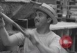 Image of New York City building construction New York City USA, 1960, second 24 stock footage video 65675079719