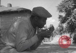 Image of working class Atlanta Atlanta Georgia USA, 1960, second 62 stock footage video 65675079726