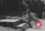 Image of African American children playing in Atlanta Atlanta Georgia USA, 1960, second 7 stock footage video 65675079735