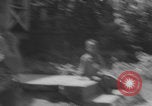 Image of African American children playing in Atlanta Atlanta Georgia USA, 1960, second 12 stock footage video 65675079735
