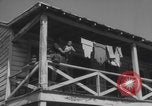 Image of African American children playing in Atlanta Atlanta Georgia USA, 1960, second 51 stock footage video 65675079735