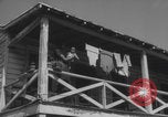 Image of African American children playing in Atlanta Atlanta Georgia USA, 1960, second 54 stock footage video 65675079735