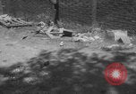Immagine di Quartiere slum Altanta Atlanta Georgia USA, 1960, secondo 6 filmato di repertorio 65675079740