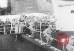 Image of Japanese soldiers with civilians China, 1937, second 12 stock footage video 65675079748