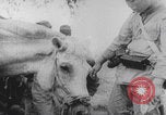Image of Japanese soldiers with civilians China, 1937, second 44 stock footage video 65675079748