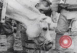 Image of Japanese soldiers with civilians China, 1937, second 47 stock footage video 65675079748