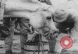 Image of Japanese soldiers with civilians China, 1937, second 48 stock footage video 65675079748