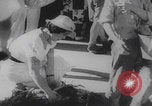 Image of Japanese occupation China, 1937, second 28 stock footage video 65675079751
