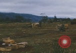 Standbild Khe Sanh Airdrop Vietnam Khe Sanh Vietnam, 1968, aus Sekunde 44 historischem Filmmaterial Videoclip 65675079752