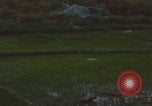 Standbild Khe Sanh Fracht Fallschirmabwurf Vietnam Krieg Khe Sanh Vietnam, 1968, aus Sekunde 51 historischem Filmmaterial Videoclip 65675079753