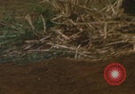Image of Khe Sanh airdropped cargo Khe Sanh Vietnam, 1968, second 33 stock footage video 65675079758