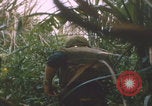 Image of airdrop to Marines Khe Sanh Khe Sanh Vietnam, 1968, second 1 stock footage video 65675079761