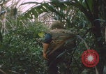 Image of airdrop to Marines Khe Sanh Khe Sanh Vietnam, 1968, second 3 stock footage video 65675079761