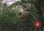 Image of airdrop to Marines Khe Sanh Khe Sanh Vietnam, 1968, second 4 stock footage video 65675079761