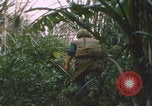 Image of airdrop to Marines Khe Sanh Khe Sanh Vietnam, 1968, second 5 stock footage video 65675079761