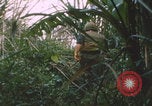 Image of airdrop to Marines Khe Sanh Khe Sanh Vietnam, 1968, second 6 stock footage video 65675079761