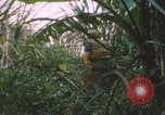 Image of airdrop to Marines Khe Sanh Khe Sanh Vietnam, 1968, second 7 stock footage video 65675079761