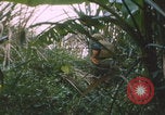 Image of airdrop to Marines Khe Sanh Khe Sanh Vietnam, 1968, second 8 stock footage video 65675079761