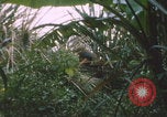 Image of airdrop to Marines Khe Sanh Khe Sanh Vietnam, 1968, second 9 stock footage video 65675079761