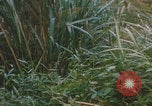 Image of airdrop to Marines Khe Sanh Khe Sanh Vietnam, 1968, second 12 stock footage video 65675079761