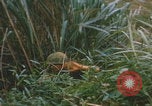 Image of airdrop to Marines Khe Sanh Khe Sanh Vietnam, 1968, second 15 stock footage video 65675079761