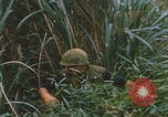Image of airdrop to Marines Khe Sanh Khe Sanh Vietnam, 1968, second 16 stock footage video 65675079761