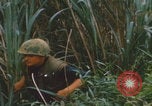 Image of airdrop to Marines Khe Sanh Khe Sanh Vietnam, 1968, second 17 stock footage video 65675079761