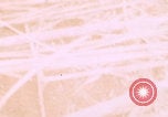 Image of airdrop to Marines Khe Sanh Khe Sanh Vietnam, 1968, second 22 stock footage video 65675079761