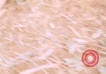 Image of airdrop to Marines Khe Sanh Khe Sanh Vietnam, 1968, second 25 stock footage video 65675079761