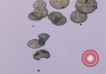 Image of airdrop to Marines Khe Sanh Khe Sanh Vietnam, 1968, second 33 stock footage video 65675079761