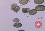 Image of airdrop to Marines Khe Sanh Khe Sanh Vietnam, 1968, second 36 stock footage video 65675079761