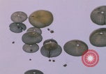 Image of airdrop to Marines Khe Sanh Khe Sanh Vietnam, 1968, second 40 stock footage video 65675079761