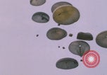 Image of airdrop to Marines Khe Sanh Khe Sanh Vietnam, 1968, second 42 stock footage video 65675079761