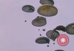 Image of airdrop to Marines Khe Sanh Khe Sanh Vietnam, 1968, second 43 stock footage video 65675079761